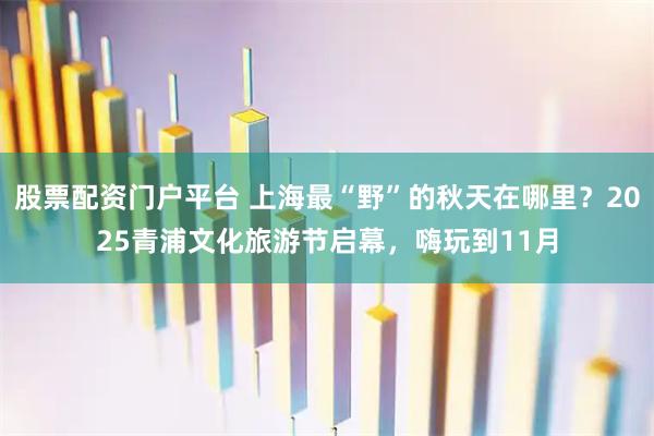 股票配资门户平台 上海最“野”的秋天在哪里？2025青浦文化旅游节启幕，嗨玩到11月