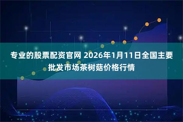 专业的股票配资官网 2026年1月11日全国主要批发市场茶树菇价格行情