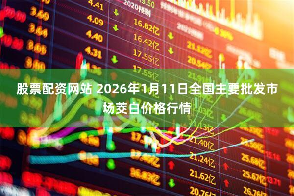 股票配资网站 2026年1月11日全国主要批发市场茭白价格行情